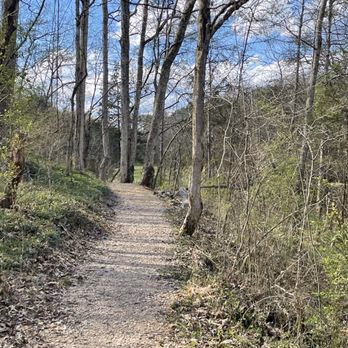 Charter Doyle PetSafe Dog Park